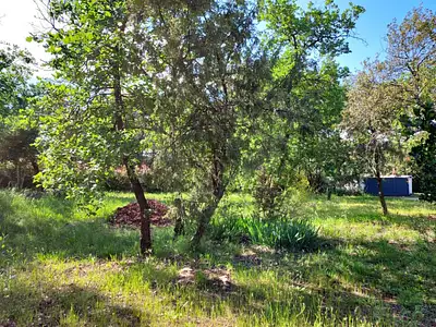 Terrain à bâtir, 722 m²