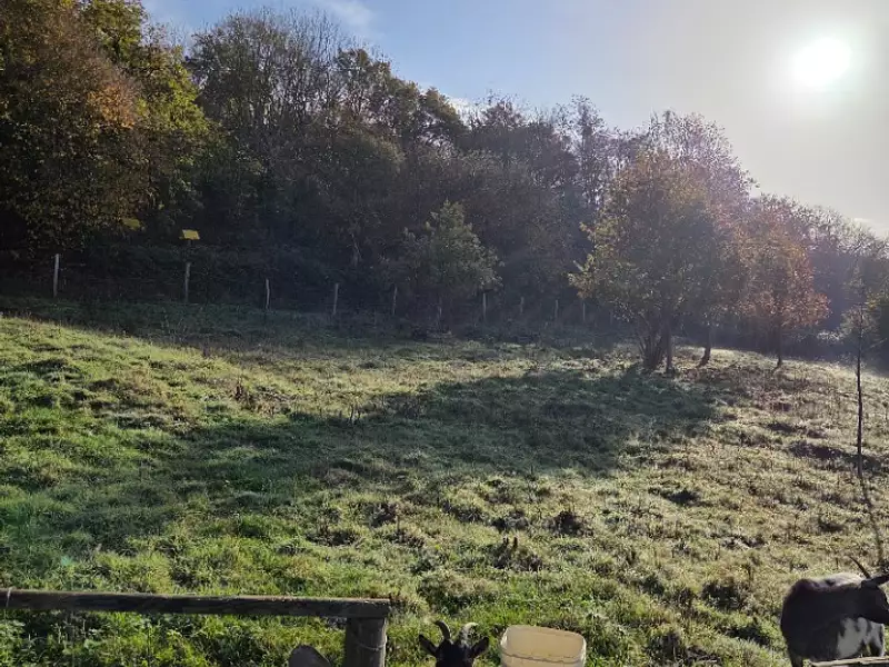 Terrain à bâtir, 1 000 m² - Brionne (27800)