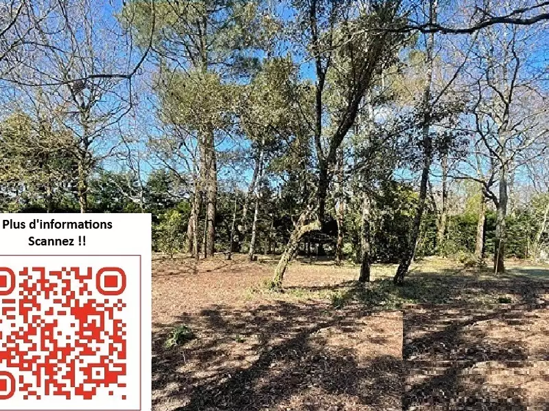 Terrain à bâtir, 380 m² - Givrand (85800)