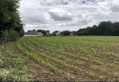 Terrain à bâtir, 200 m²