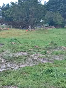 Terrain à bâtir, 568 m²