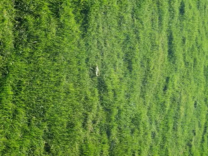 Terrain à bâtir, 347 m² - Saint-Hilaire-de-Riez (85270)