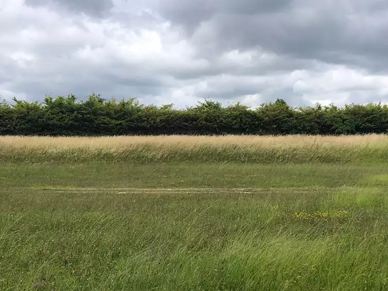 Terrain à bâtir, 998 m² - Tavant (37220)