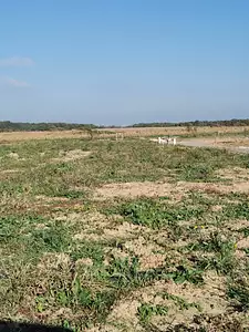 Terrain à bâtir, 307 m²