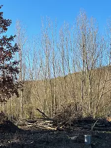 Maison neuve, 50 m²