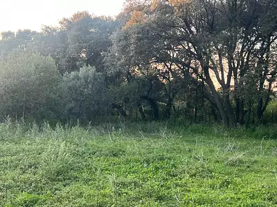 Maison neuve, 60 m²