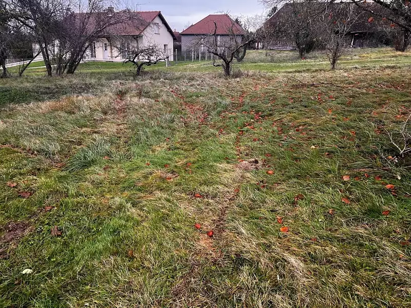 Terrain à bâtir, 1 804 m² - Bouilly (10320)