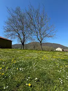 Terrain à bâtir, 800 m²