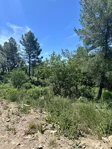 Terrain à bâtir, 1 289 m²