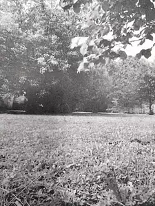 Maison neuve, 85 m²