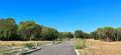Terrain à bâtir, 1 500 m²
