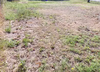 Terrain à bâtir, 730 m²