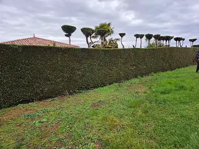 Terrain à bâtir, 430 m²