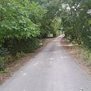 Terrain à bâtir, 296 m²