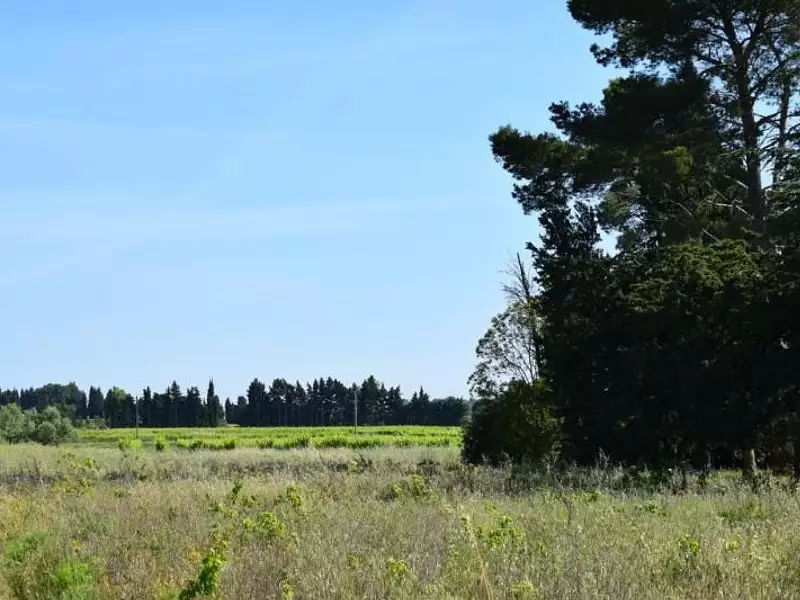 Terrain à bâtir, 455 m² - Domazan (30390)