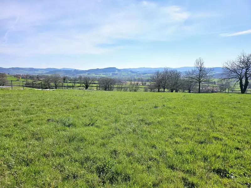 Terrain à bâtir, 2 000 m² - Tancon (71740)