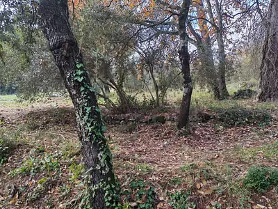 Terrain à bâtir, 1 882 m²