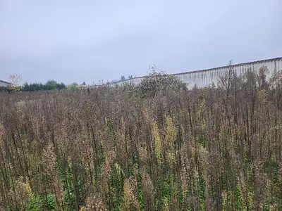 Terrain à bâtir, 350 m²