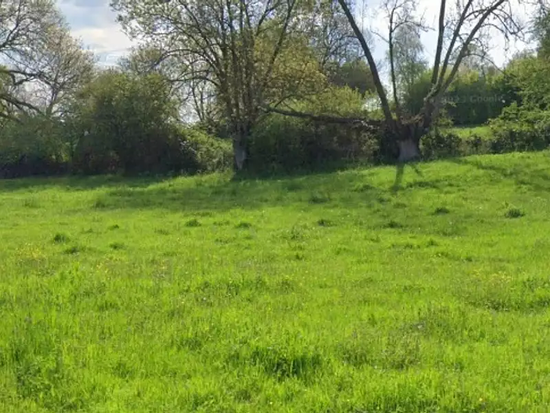 Terrain à bâtir, 1 503 m² - Roncherolles-en-Bray (76440)