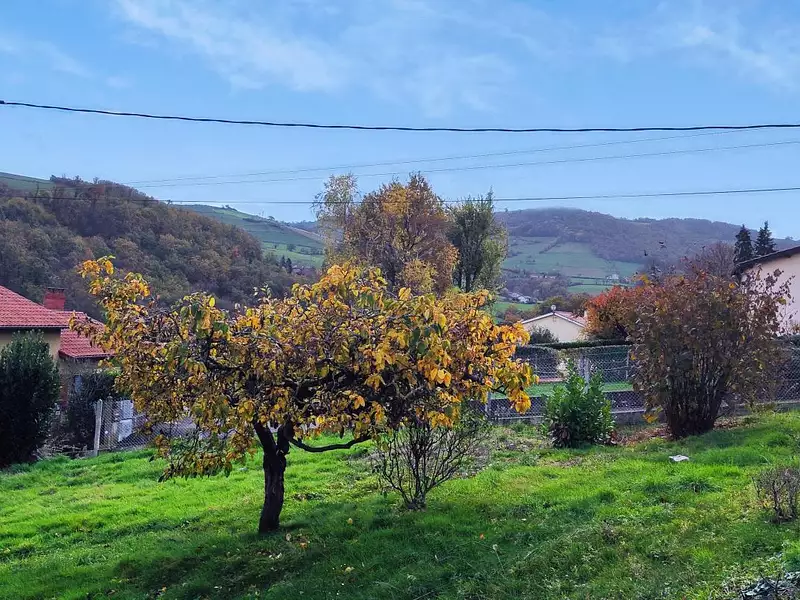 Terrain à bâtir, 520 m² - Vindry-sur-Turdine (69490)