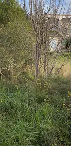 Terrain à bâtir, 685 m²