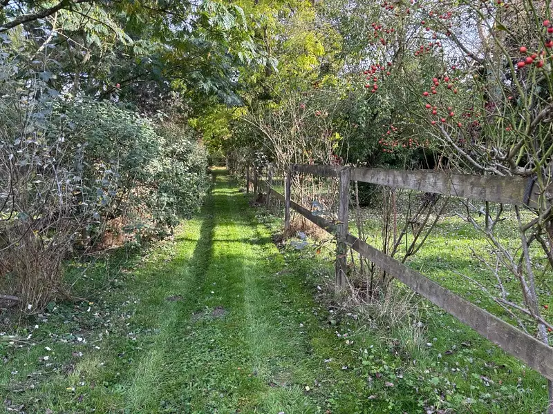 Maison neuve, 100 m² - Thoiry (78770)