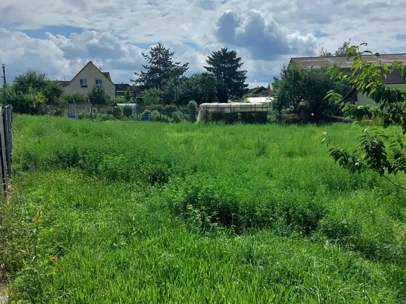 Maison neuve, 130 m² - Durrenentzen (68320)