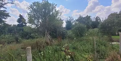 Maison neuve, 95 m²