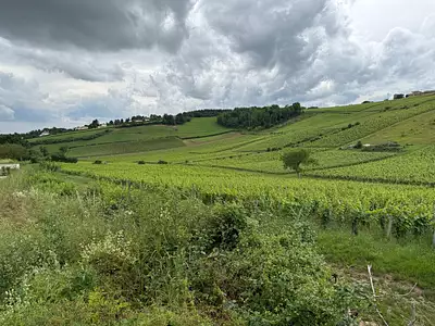 Terrain à bâtir, 792 m²