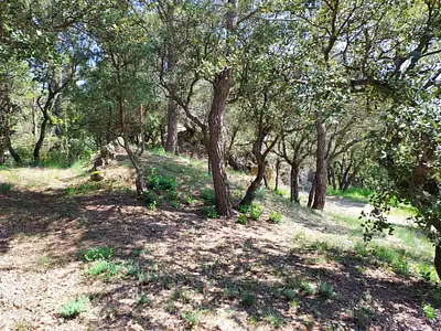 Terrain à bâtir, 1 840 m²