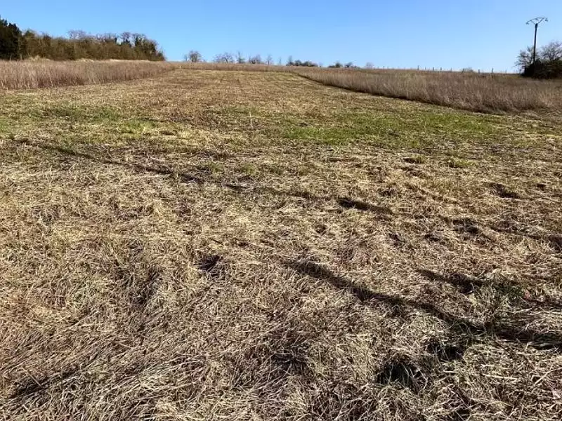 Terrain à bâtir, 1 452 m² - Sergines (89140)