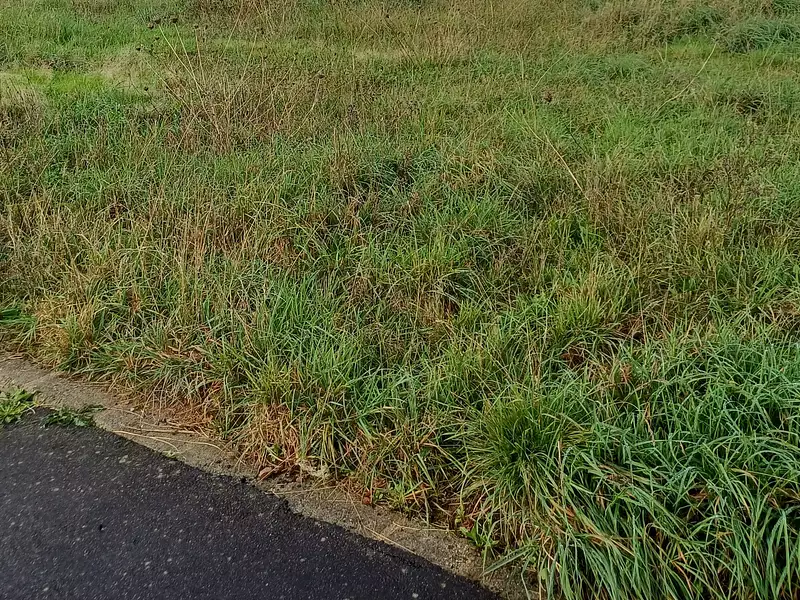 Terrain à bâtir, 520 m² - Cholet (49300)