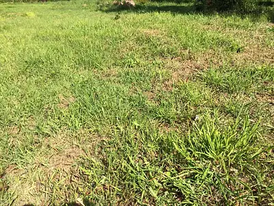 Terrain à bâtir, 315 m²