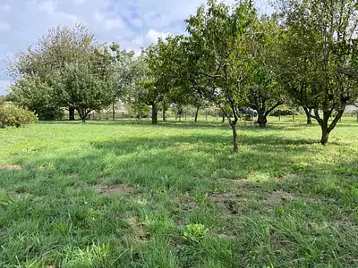 Maison neuve, 90 m²