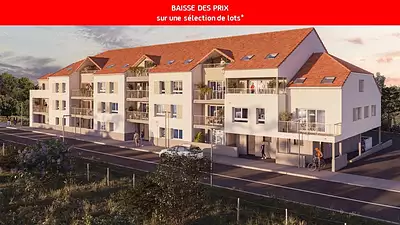 LE DOMAINE DES VIGNES