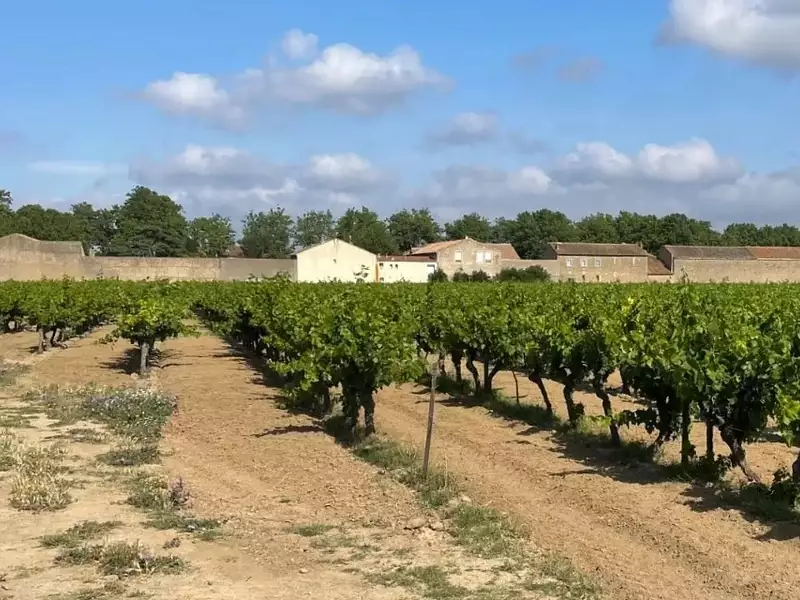 Maison neuve, 81 m² - Canet (11200)