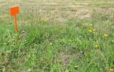 Maison neuve, 85 m²