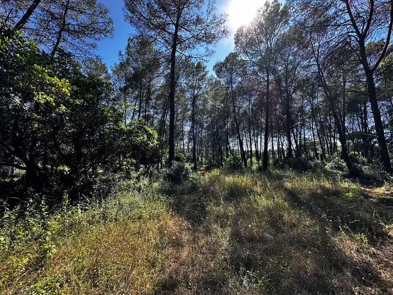 Maison neuve, 122 m² - Bagnols-en-Forêt (83600)