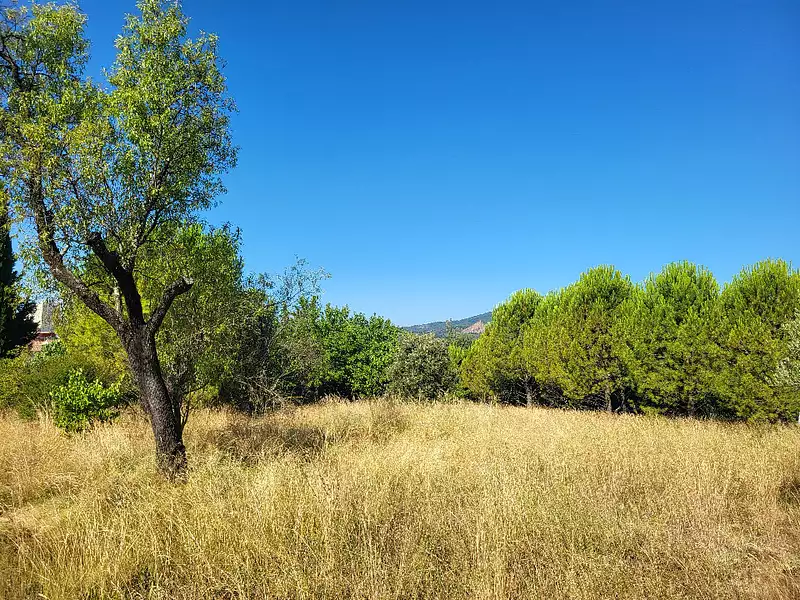 Terrain à bâtir, 1 300 m² - Alès (30100)