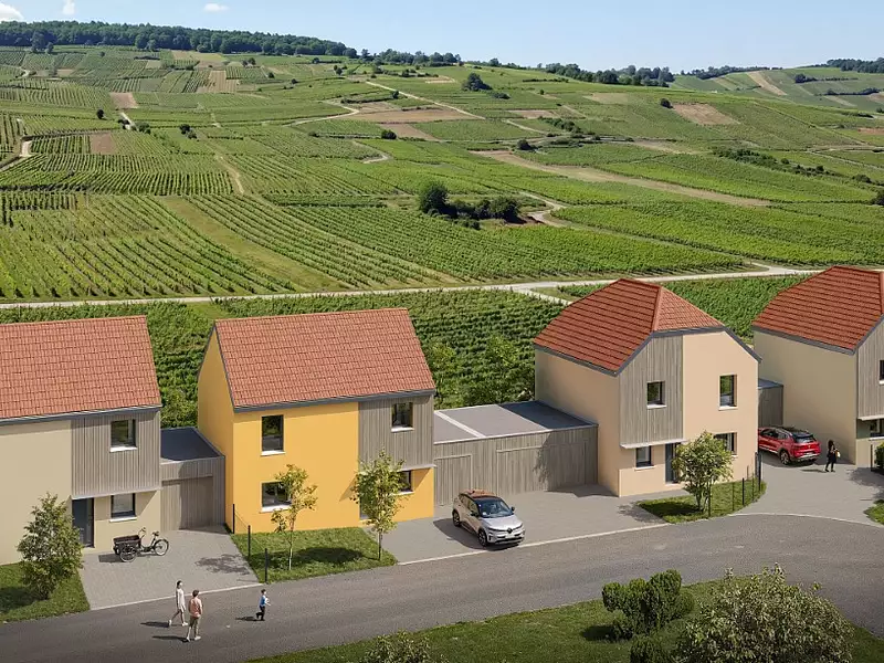 Le HAMO des Remparts - Kaysersberg Vignoble (68240)