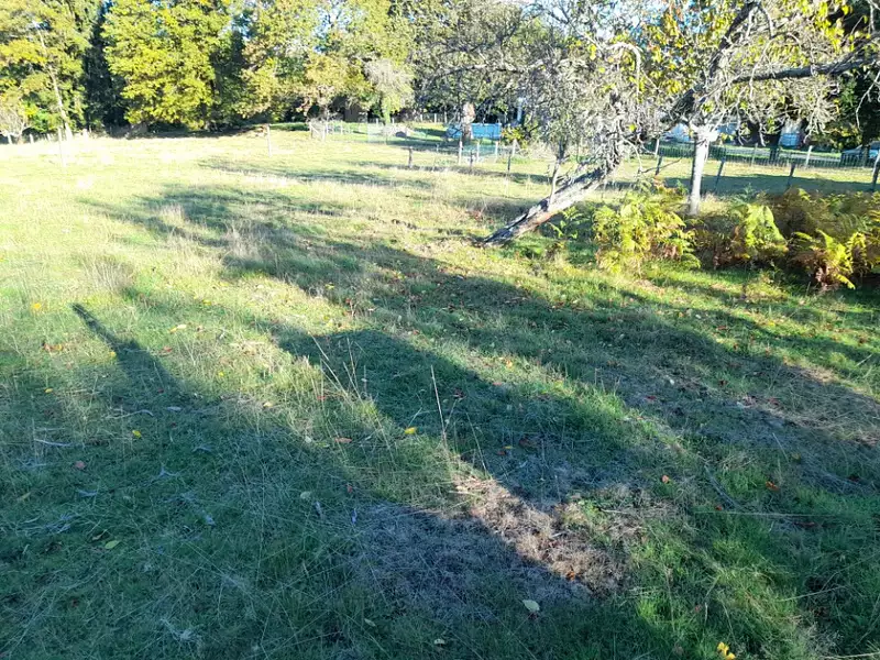 Terrain à bâtir, 4 440 m² - Saint-Martin-Terressus (87400)