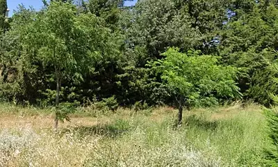 Terrain à bâtir, 780 m²