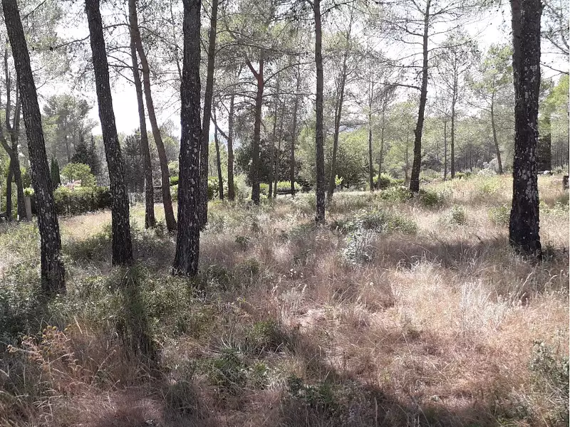 Terrain à bâtir, 1 200 m² - Fréjus (83600)