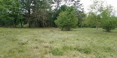 Maison neuve, 95 m²