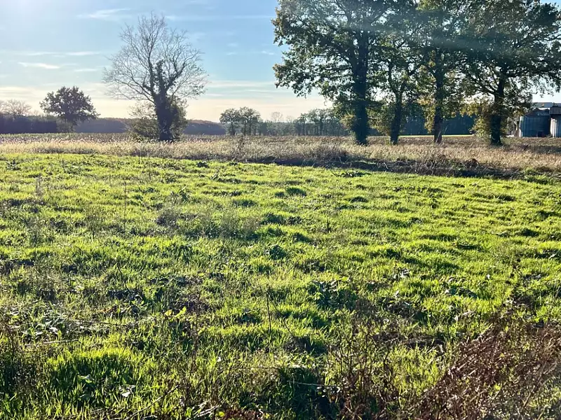 Maison neuve, 50 m² - Jasseron (01250)