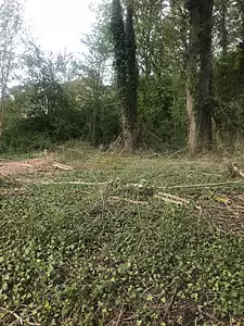 Terrain à bâtir, 870 m²