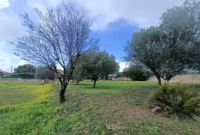 Maison neuve, 90 m²