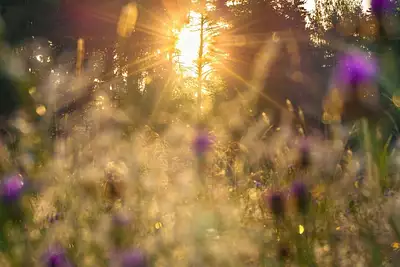 Maison neuve, 73 m²