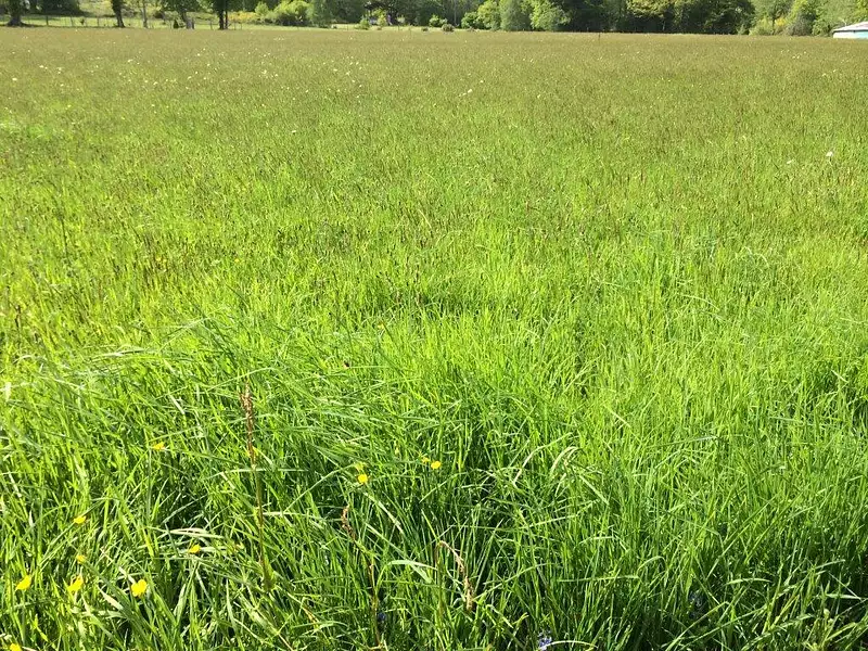 Terrain à bâtir, 270 m² - Saint-Mars-du-Désert (44850)