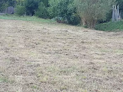 Maison neuve, 100 m²